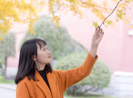 垂直火力测试版下载